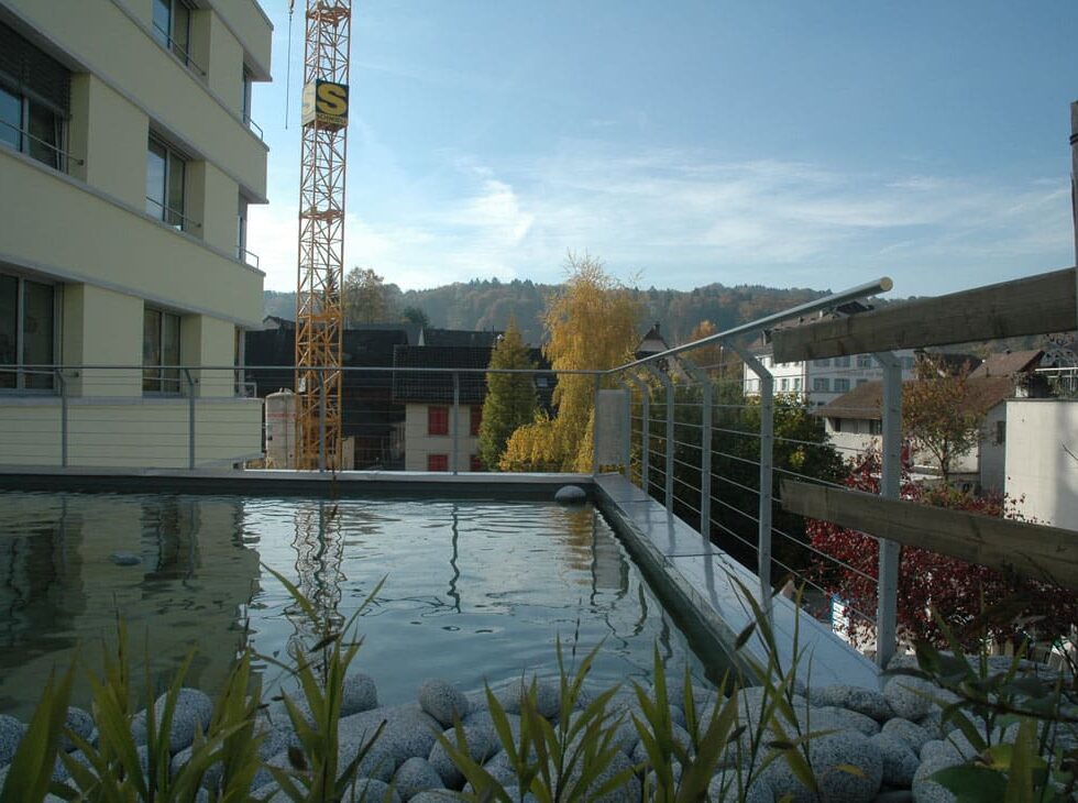 Projekt Urdorf Terrassen Geländer | Bachofer AG Arbon (Thurgau)