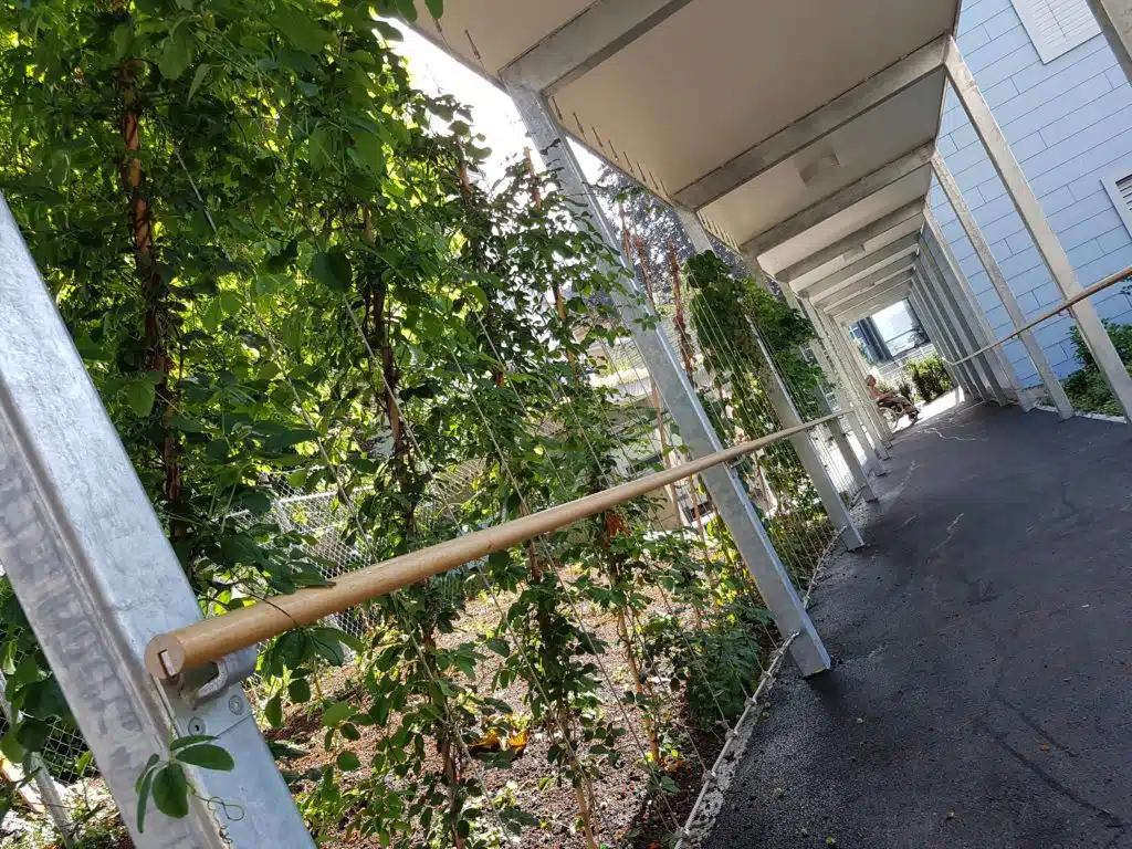 Handlauf + Pergola, Alterssiedlung Arbon